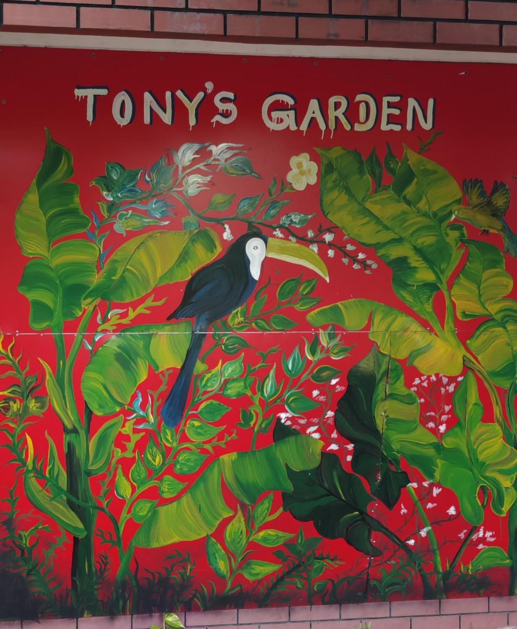 ג'פנה Tony'S Garden House Back Packers Inn מראה חיצוני תמונה